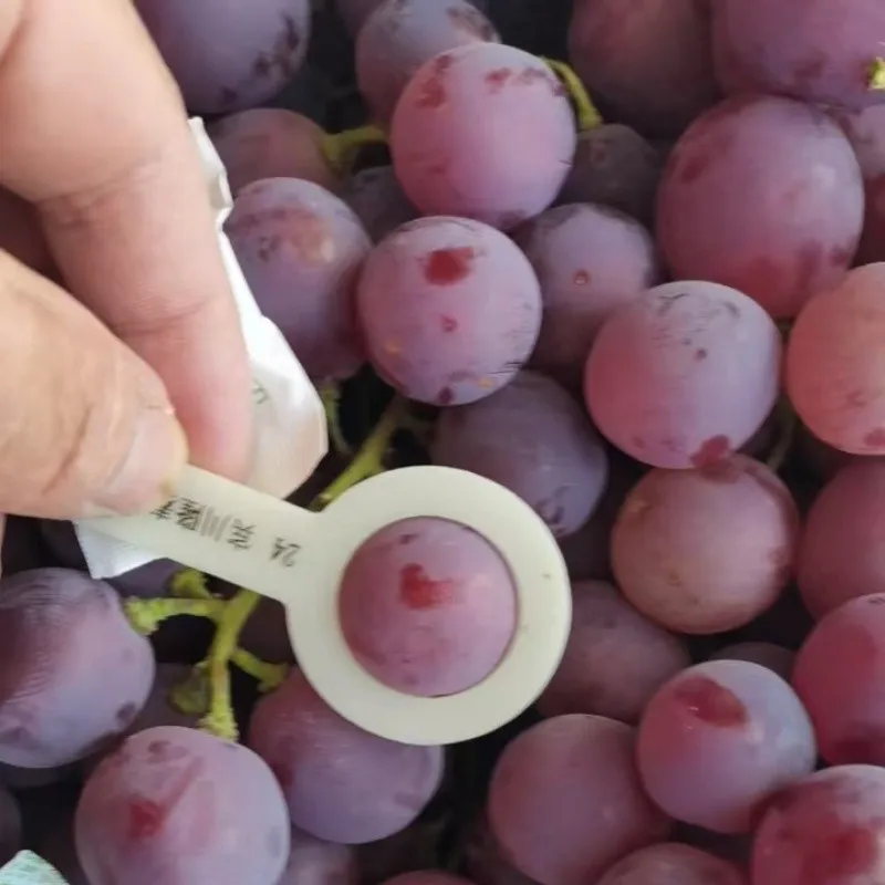 26mm Red Global Grape best