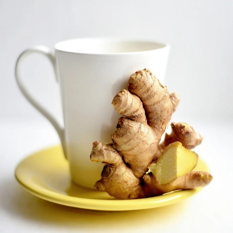 ginger-3966502640 ginger-3966502640
